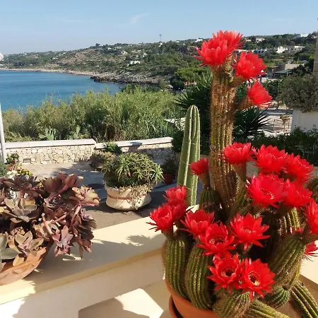 Lägenhet Baia Azzurra Santa Maria di Leuca